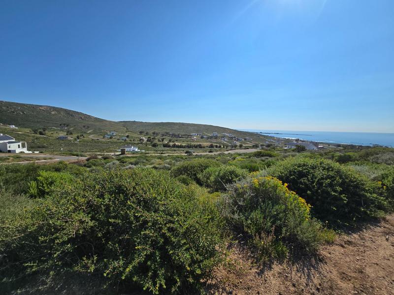 0 Bedroom Property for Sale in Steenbergs Cove Western Cape